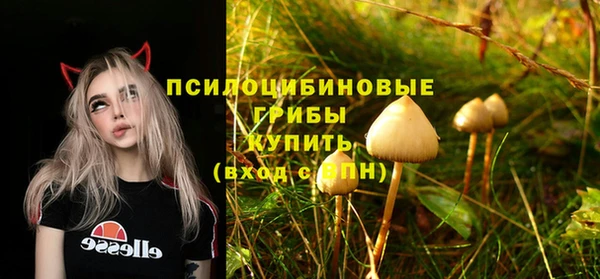 соль курить ск Горно-Алтайск