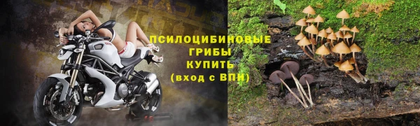 соль курить ск Горно-Алтайск